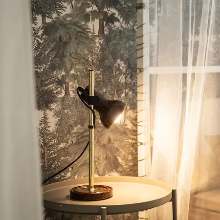 Palazzo Martina * 都灵